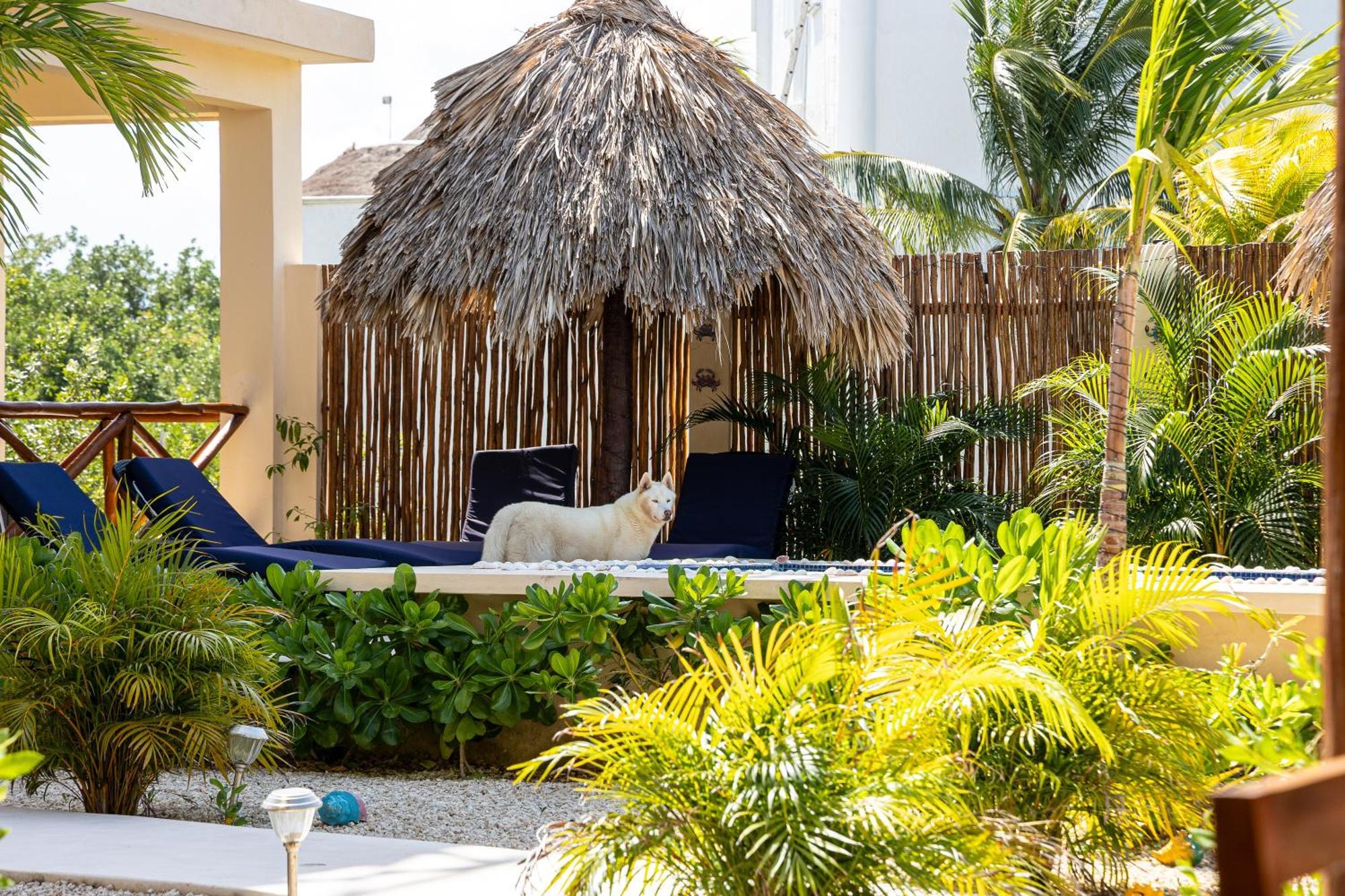 Atenea Holbox Exterior photo